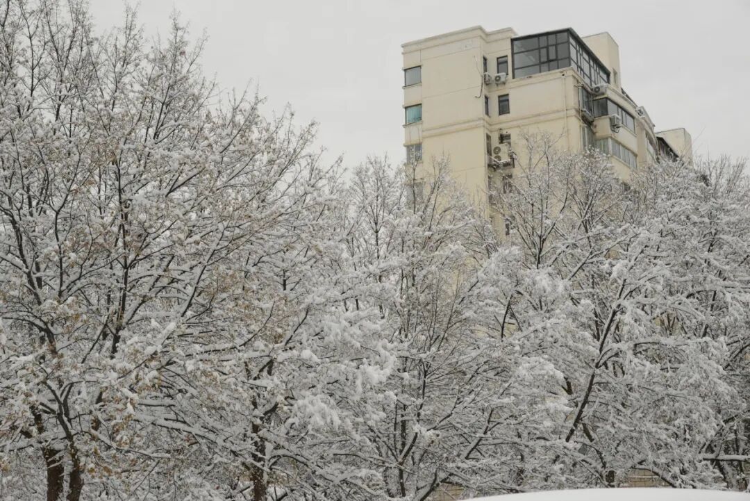 640 (66).jpeg 640 (66).jpeg