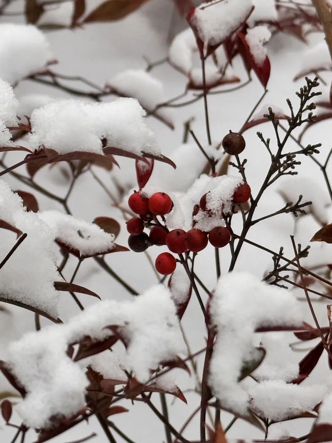 640 (70).jpeg 640 (70).jpeg