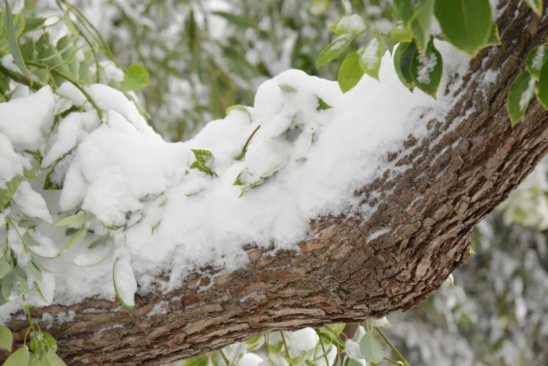 640 (67).jpeg 640 (67).jpeg