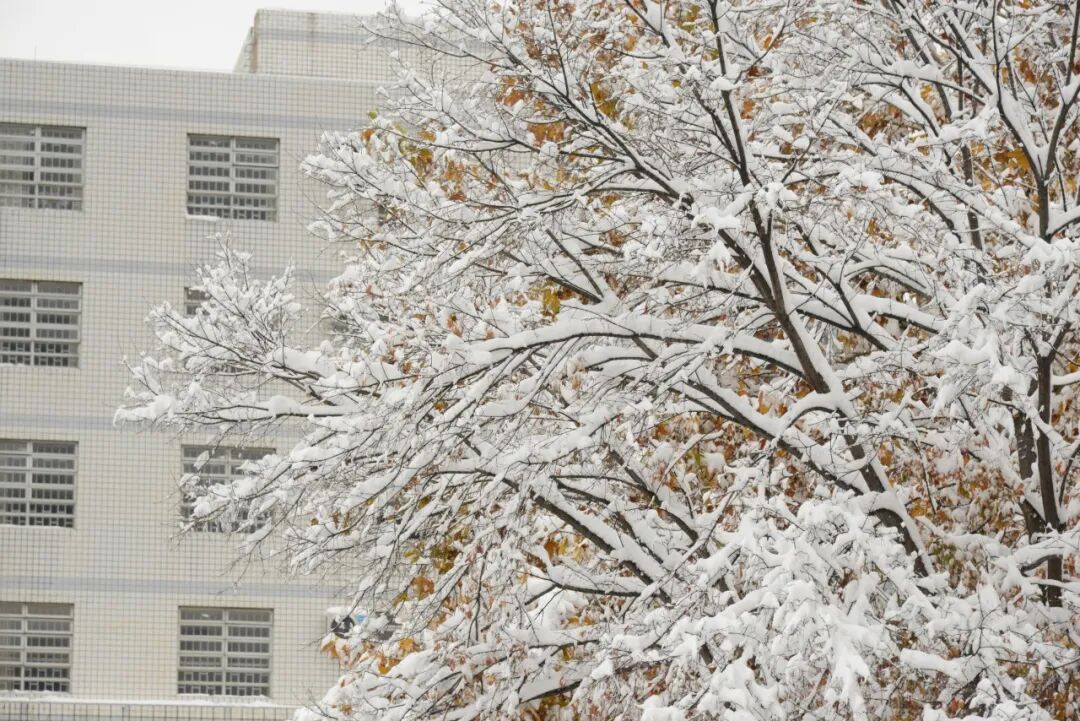 640 (68).jpeg 640 (68).jpeg