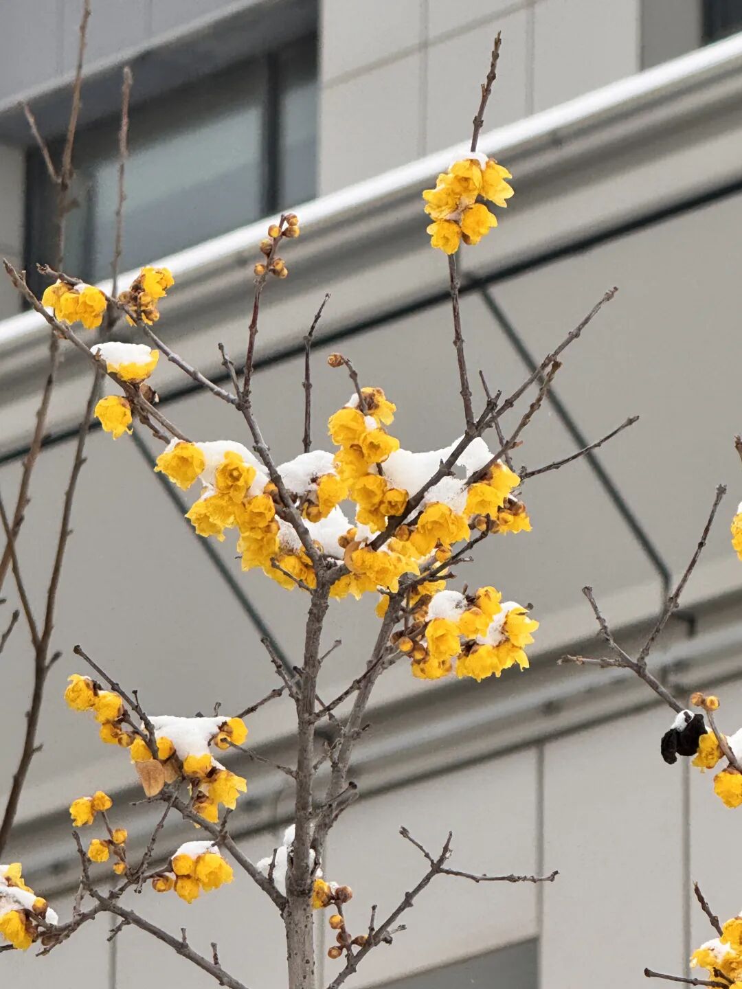 640 (71).jpeg 640 (71).jpeg