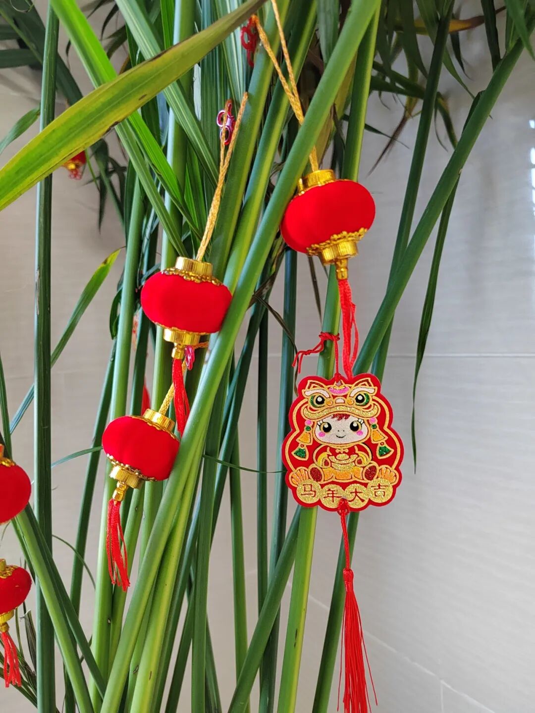 640 (17).jpeg 640 (17).jpeg