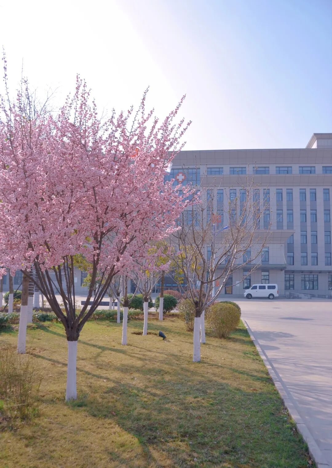 640 (22).jpeg 640 (22).jpeg