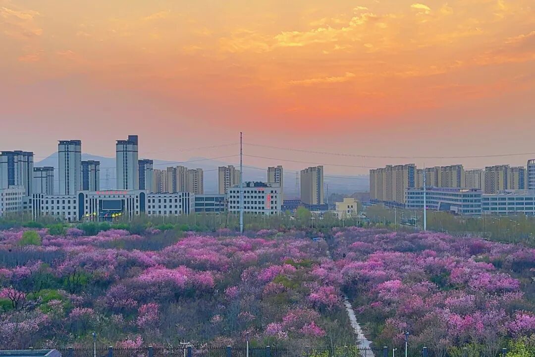 640 (2).jpeg 640 (2).jpeg