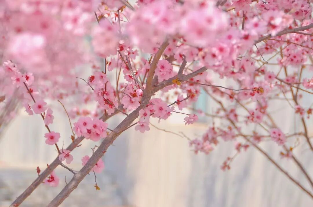 640 (19).jpeg 640 (19).jpeg