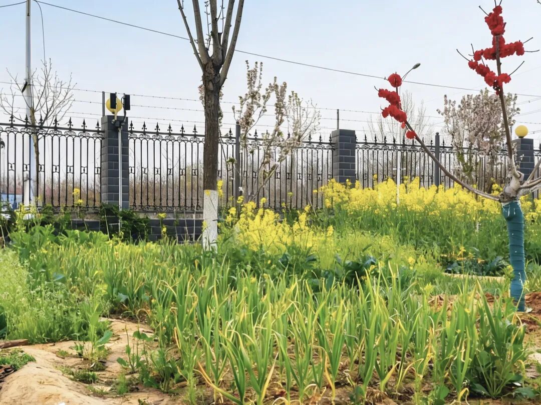 640 (8).jpeg 640 (8).jpeg