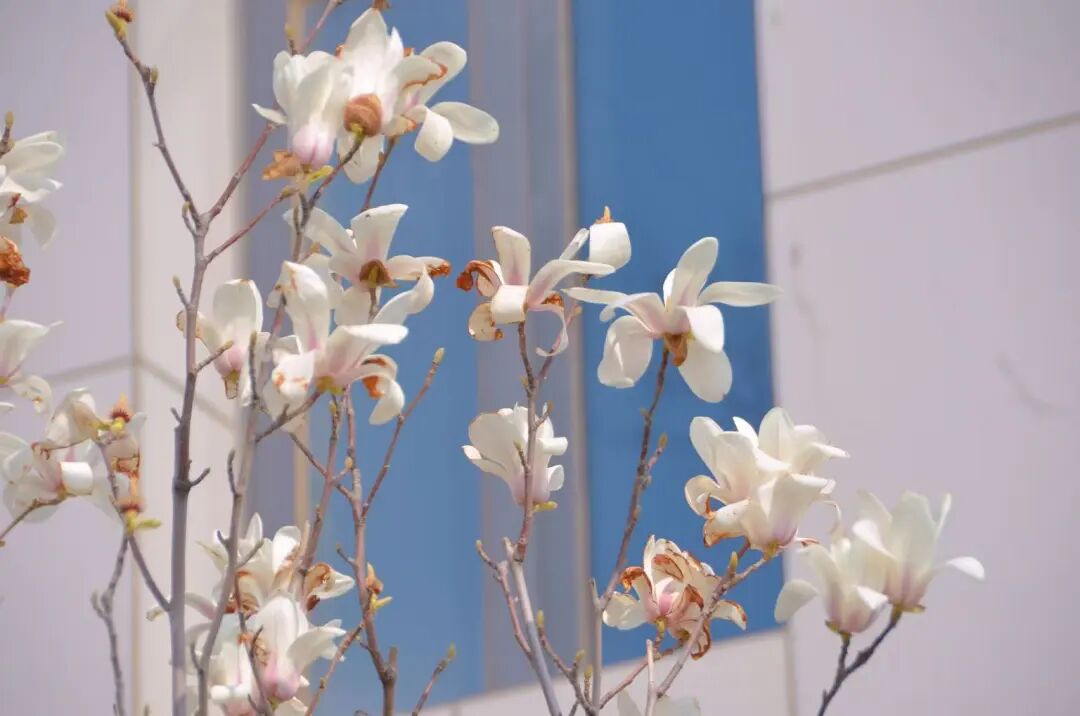 640 (21).jpeg 640 (21).jpeg