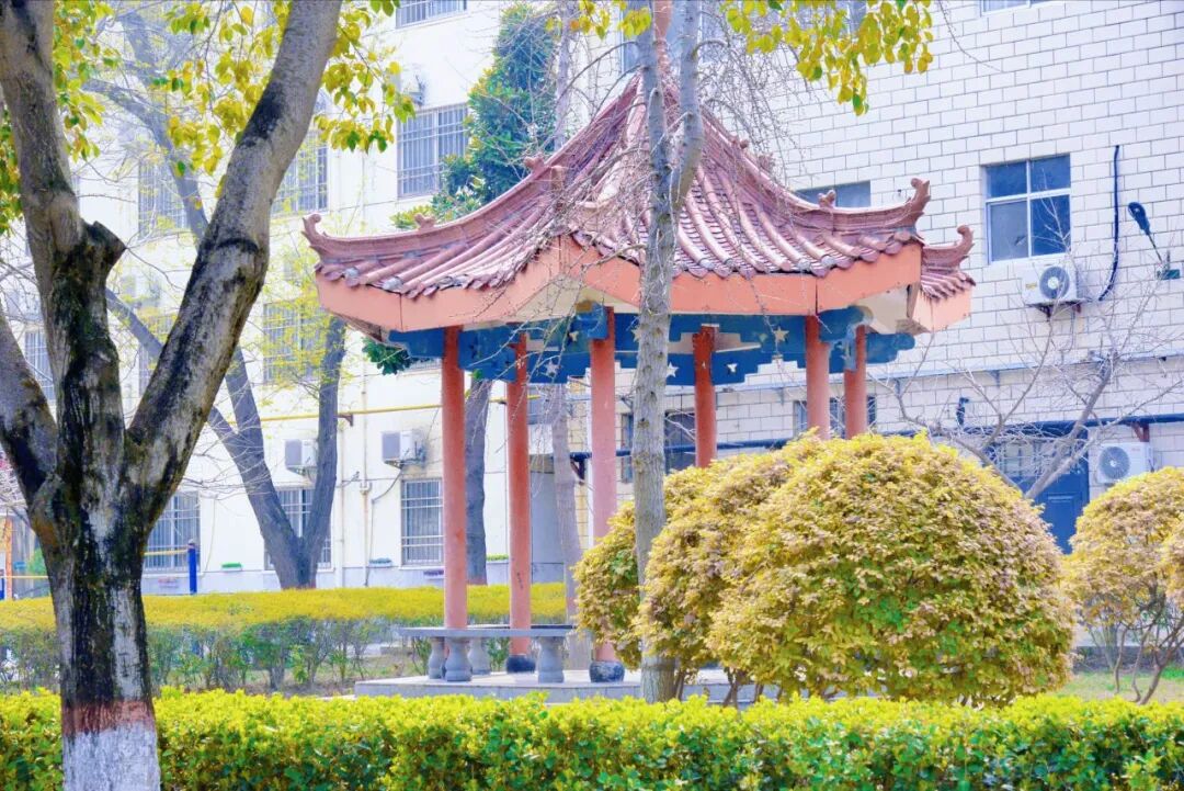 640 (16).jpeg 640 (16).jpeg