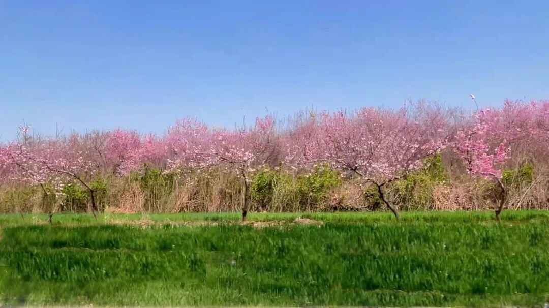 640 (3).jpeg 640 (3).jpeg