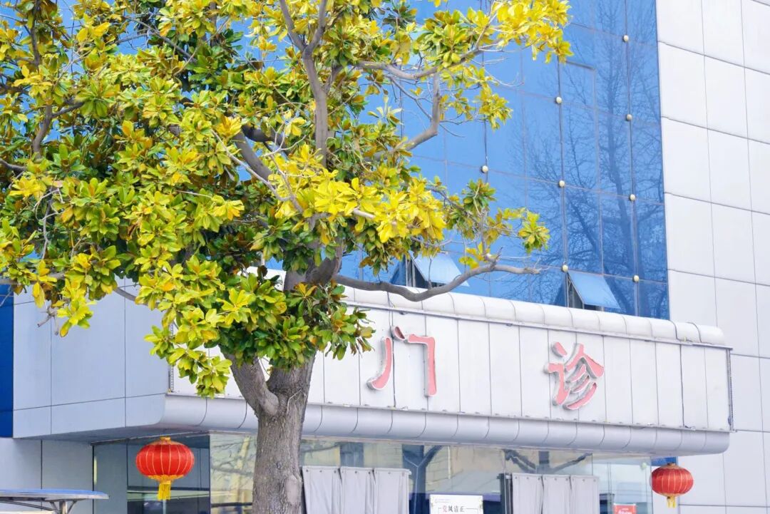 640 (15).jpeg 640 (15).jpeg