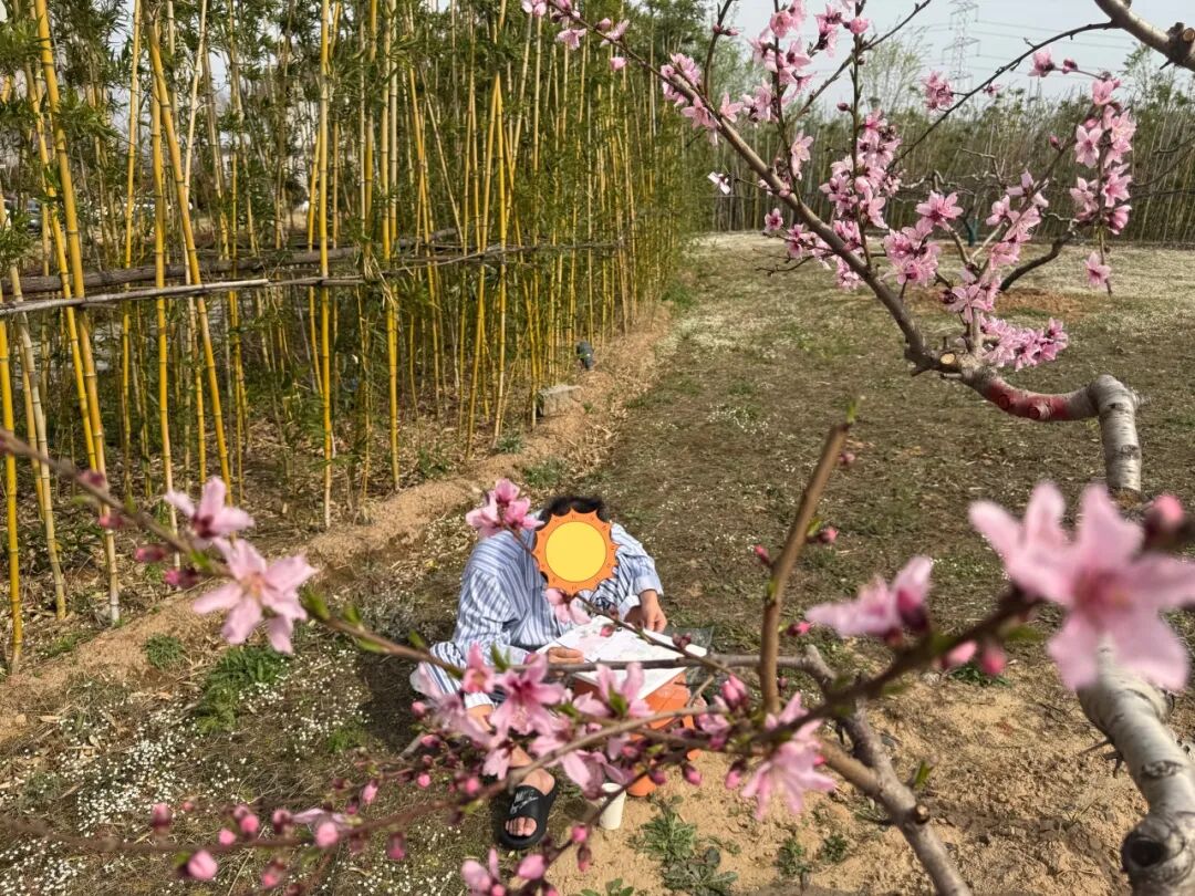 640 (4).jpeg 640 (4).jpeg