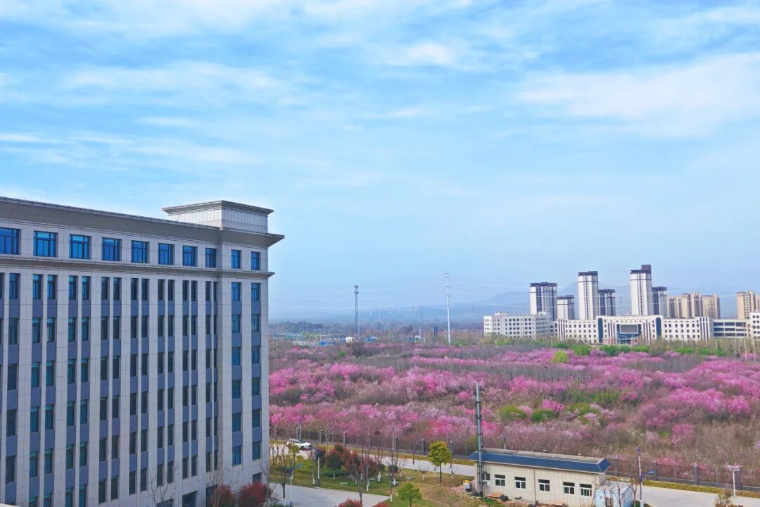 640 (14).jpeg 640 (14).jpeg