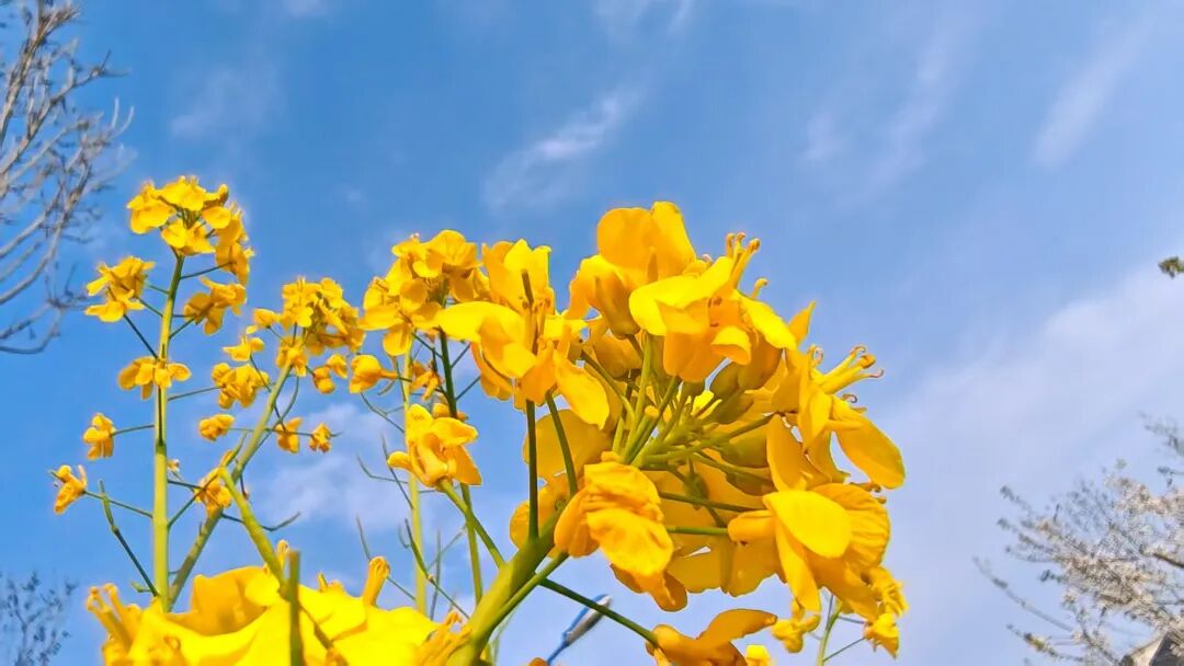 640 (20).jpeg 640 (20).jpeg