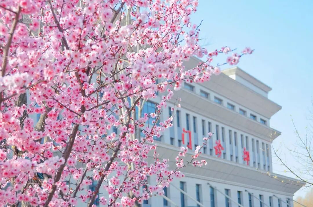 640 (23).jpeg 640 (23).jpeg