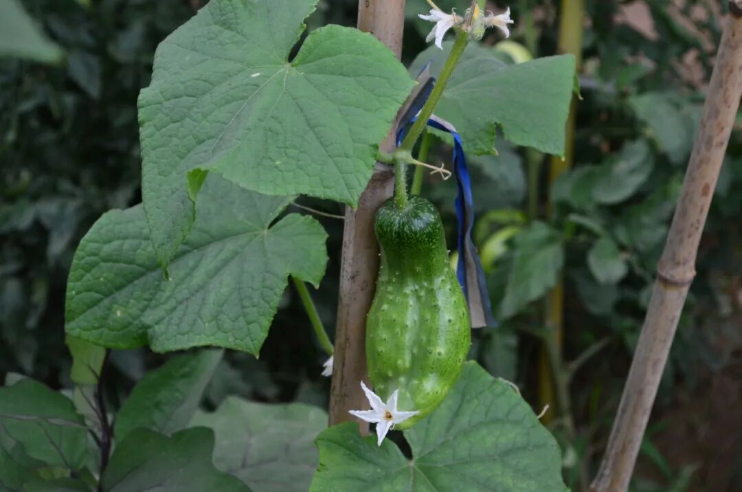 640 (15).jpeg 640 (15).jpeg