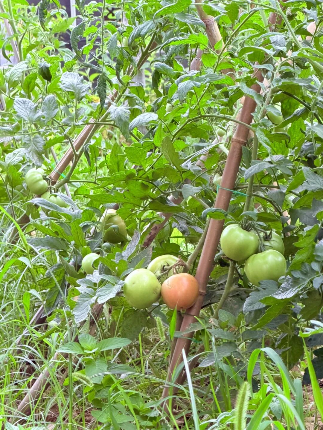 640 (13).jpeg 640 (13).jpeg